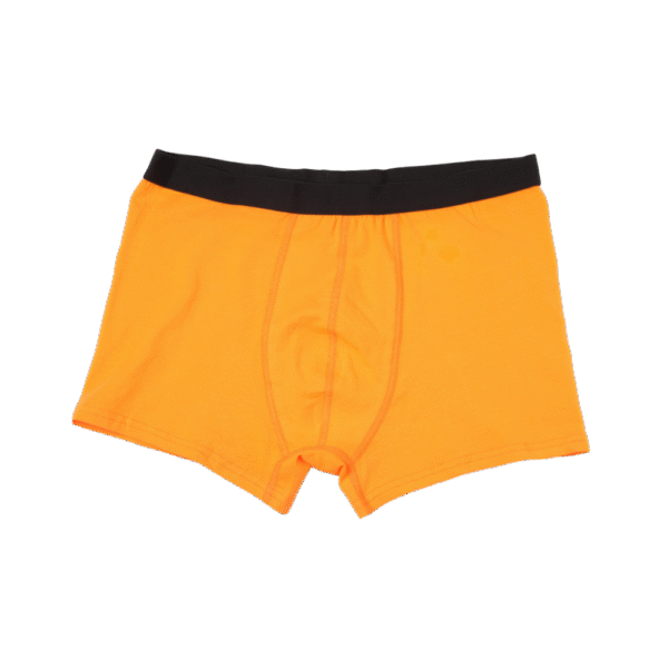 Boxer BRIEFS with button at fly